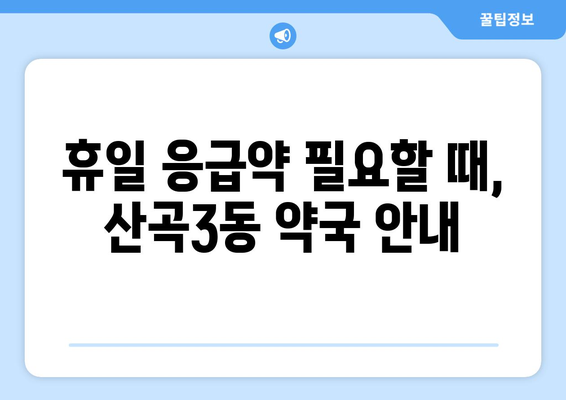 인천시 부평구 산곡3동 24시간 토요일 일요일 휴일 공휴일 야간 약국