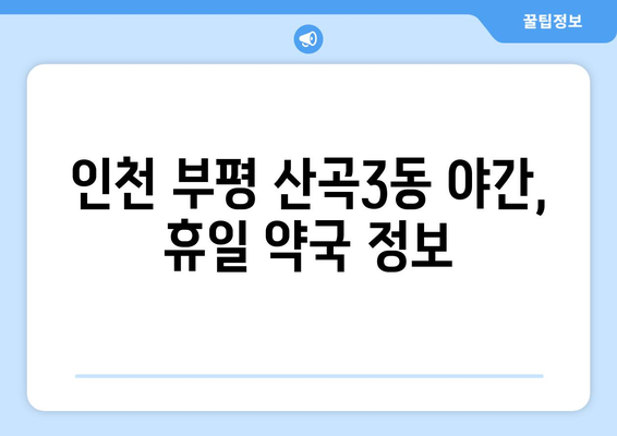 인천시 부평구 산곡3동 24시간 토요일 일요일 휴일 공휴일 야간 약국