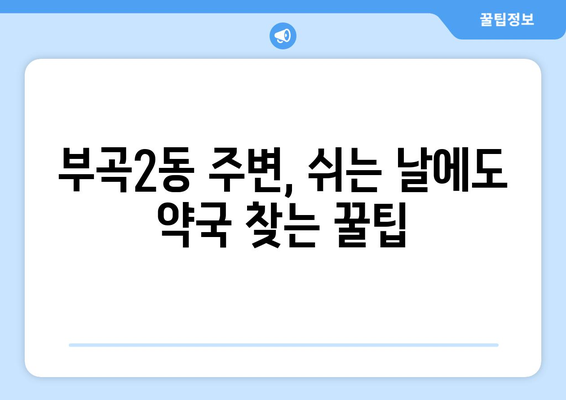 부산시 금정구 부곡2동 24시간 토요일 일요일 휴일 공휴일 야간 약국