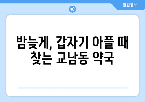 서울시 종로구 교남동 24시간 토요일 일요일 휴일 공휴일 야간 약국