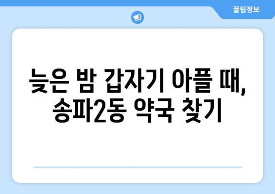 서울시 송파구 송파2동 24시간 토요일 일요일 휴일 공휴일 야간 약국