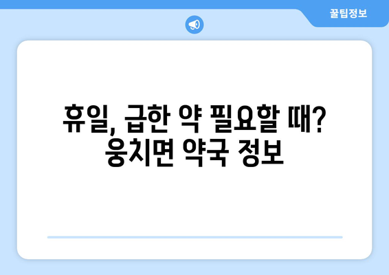 전라남도 보성군 웅치면 24시간 토요일 일요일 휴일 공휴일 야간 약국