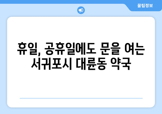 제주도 서귀포시 대륜동 24시간 토요일 일요일 휴일 공휴일 야간 약국