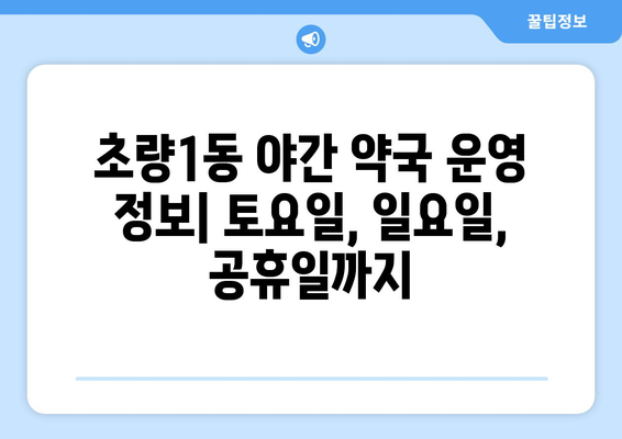 부산시 동구 초량1동 24시간 토요일 일요일 휴일 공휴일 야간 약국