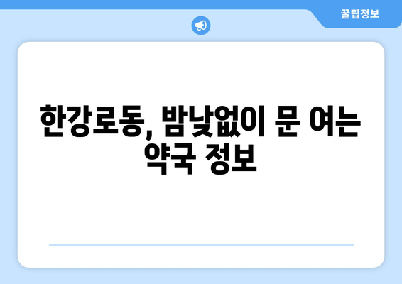 서울시 용산구 한강로동 24시간 토요일 일요일 휴일 공휴일 야간 약국