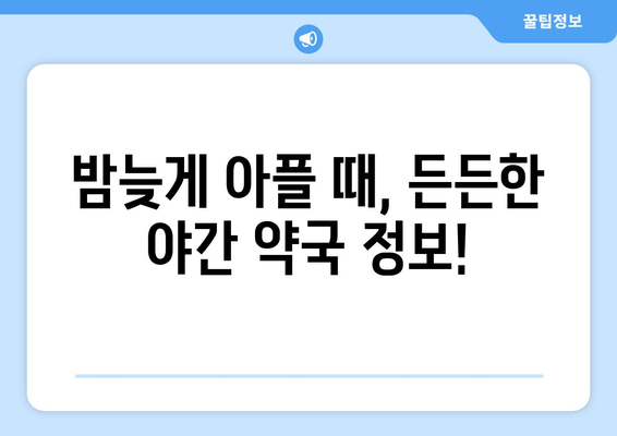 전라남도 진도군 임회면 24시간 토요일 일요일 휴일 공휴일 야간 약국