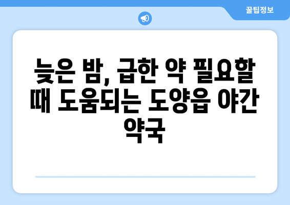 전라남도 고흥군 도양읍 24시간 토요일 일요일 휴일 공휴일 야간 약국