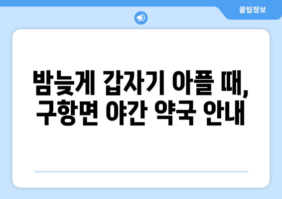 충청남도 홍성군 구항면 24시간 토요일 일요일 휴일 공휴일 야간 약국