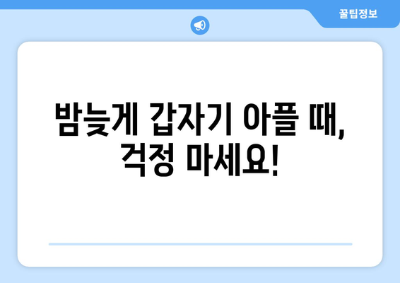 부산시 서구 부민동 24시간 토요일 일요일 휴일 공휴일 야간 약국