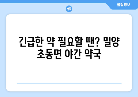 경상남도 밀양시 초동면 24시간 토요일 일요일 휴일 공휴일 야간 약국