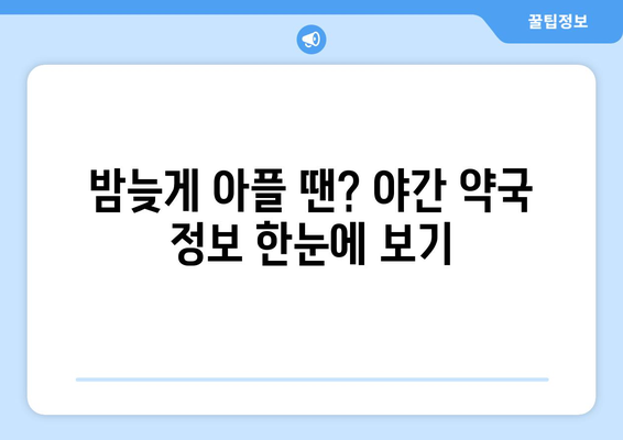 경기도 광주시 남종면 24시간 토요일 일요일 휴일 공휴일 야간 약국