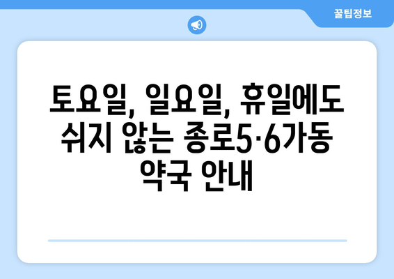 서울시 종로구 종로5·6가동 24시간 토요일 일요일 휴일 공휴일 야간 약국