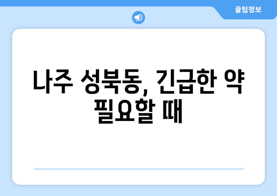 전라남도 나주시 성북동 24시간 토요일 일요일 휴일 공휴일 야간 약국