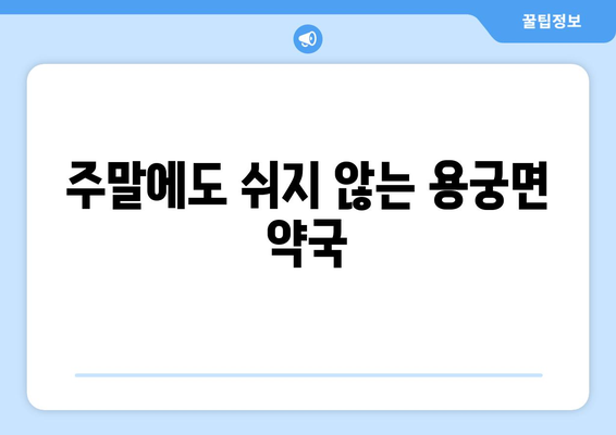 경상북도 예천군 용궁면 24시간 토요일 일요일 휴일 공휴일 야간 약국