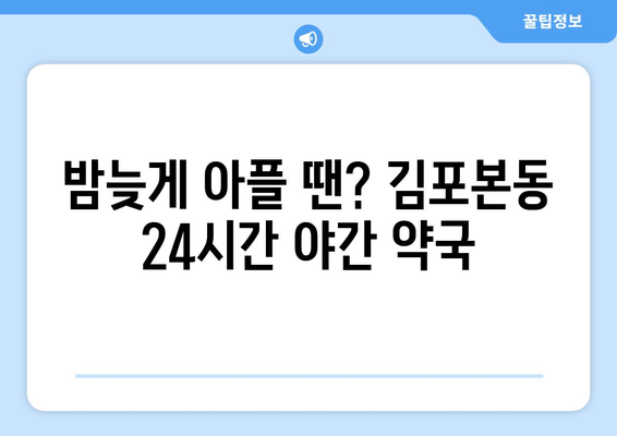 경기도 김포시 김포본동 24시간 토요일 일요일 휴일 공휴일 야간 약국