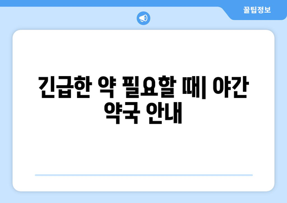 전라남도 장흥군 장평면 24시간 토요일 일요일 휴일 공휴일 야간 약국