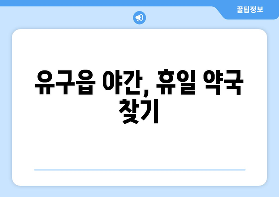 충청남도 공주시 유구읍 24시간 토요일 일요일 휴일 공휴일 야간 약국