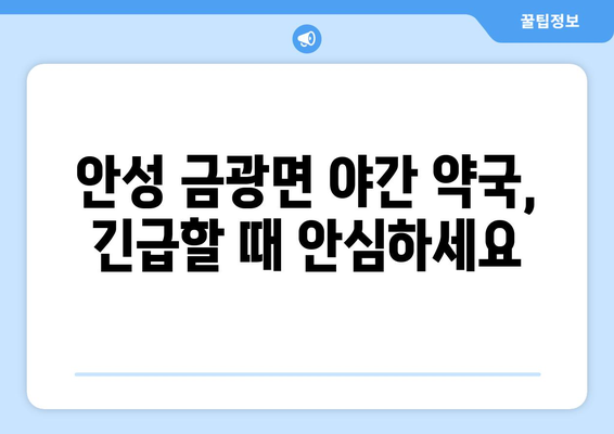 경기도 안성시 금광면 24시간 토요일 일요일 휴일 공휴일 야간 약국