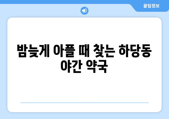 전라남도 목포시 하당동 24시간 토요일 일요일 휴일 공휴일 야간 약국