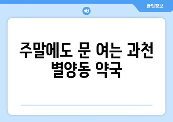 경기도 과천시 별양동 24시간 토요일 일요일 휴일 공휴일 야간 약국