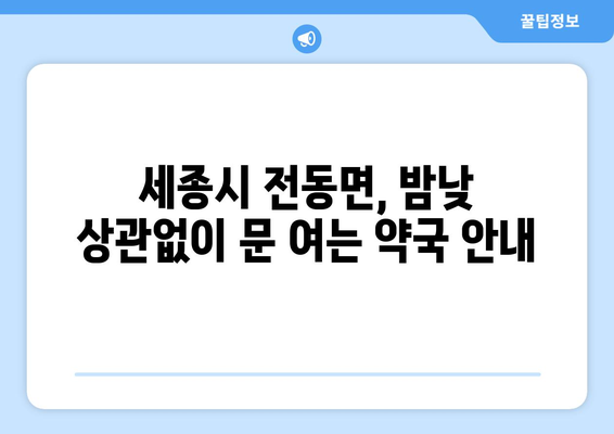 세종시 세종특별자치시 전동면 24시간 토요일 일요일 휴일 공휴일 야간 약국