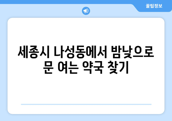 세종시 세종특별자치시 나성동 24시간 토요일 일요일 휴일 공휴일 야간 약국