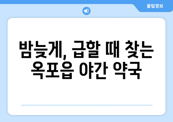 대구시 달성군 옥포읍 24시간 토요일 일요일 휴일 공휴일 야간 약국