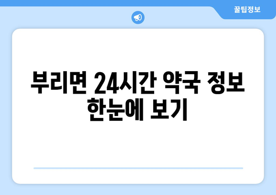 충청남도 금산군 부리면 24시간 토요일 일요일 휴일 공휴일 야간 약국