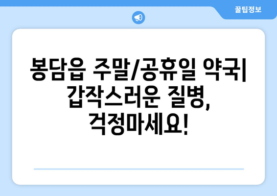 경기도 화성시 봉담읍 24시간 토요일 일요일 휴일 공휴일 야간 약국