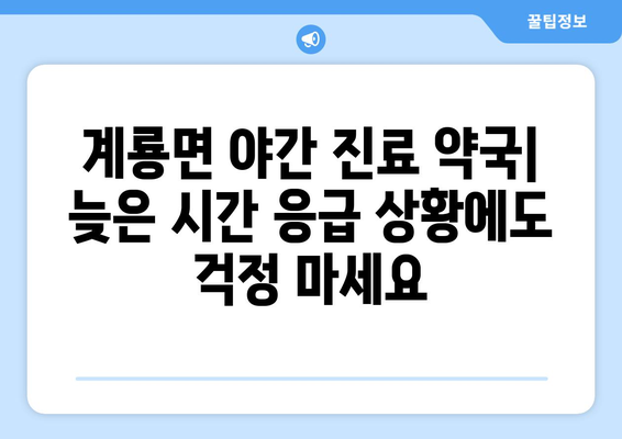 충청남도 공주시 계룡면 24시간 토요일 일요일 휴일 공휴일 야간 약국