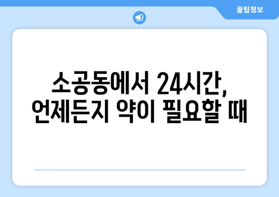 서울시 중구 소공동 24시간 토요일 일요일 휴일 공휴일 야간 약국