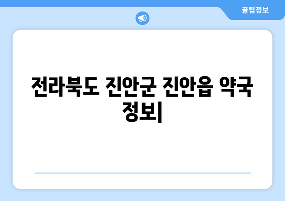 전라북도 진안군 진안읍 24시간 토요일 일요일 휴일 공휴일 야간 약국