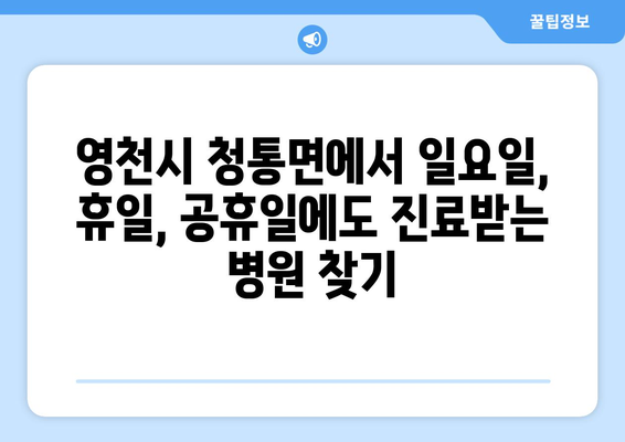 경상북도 영천시 청통면 일요일 휴일 공휴일 야간 진료병원 리스트