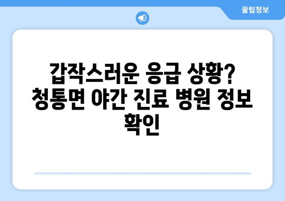 경상북도 영천시 청통면 일요일 휴일 공휴일 야간 진료병원 리스트