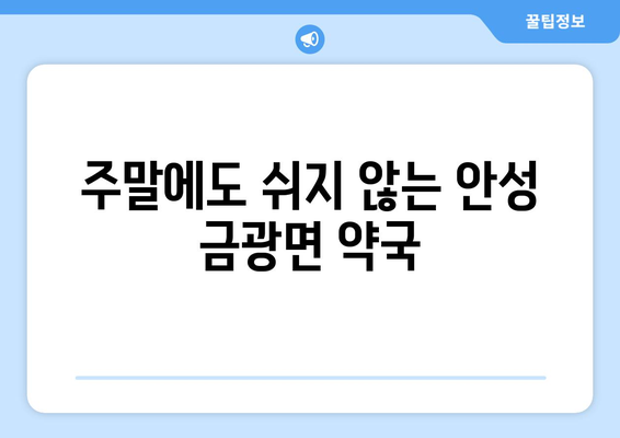 경기도 안성시 금광면 24시간 토요일 일요일 휴일 공휴일 야간 약국