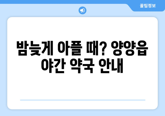 강원도 양양군 양양읍 24시간 토요일 일요일 휴일 공휴일 야간 약국