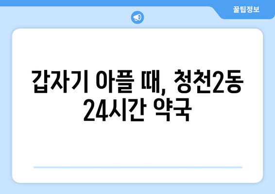 인천시 부평구 청천2동 24시간 토요일 일요일 휴일 공휴일 야간 약국