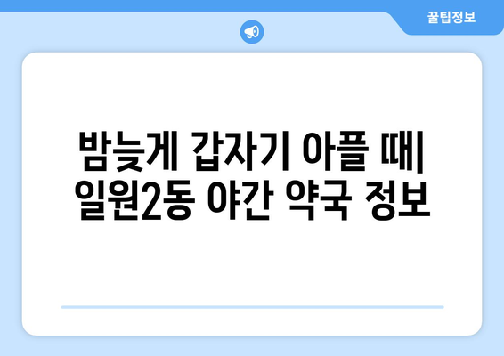 서울시 강남구 일원2동 24시간 토요일 일요일 휴일 공휴일 야간 약국