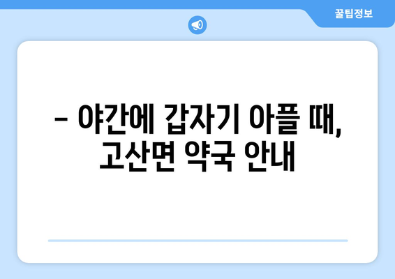 전라북도 완주군 고산면 24시간 토요일 일요일 휴일 공휴일 야간 약국