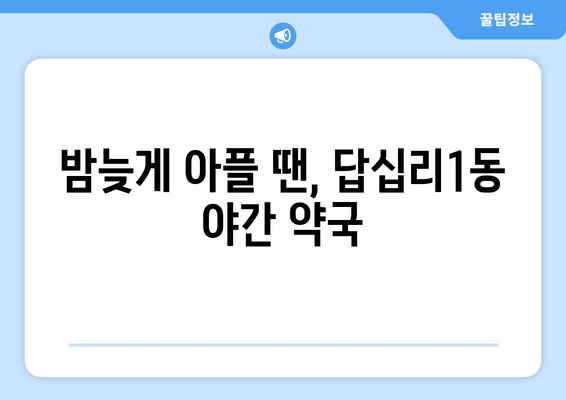 서울시 동대문구 답십리제1동 24시간 토요일 일요일 휴일 공휴일 야간 약국