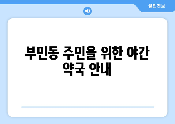 부산시 서구 부민동 24시간 토요일 일요일 휴일 공휴일 야간 약국