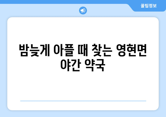 경상남도 고성군 영현면 24시간 토요일 일요일 휴일 공휴일 야간 약국