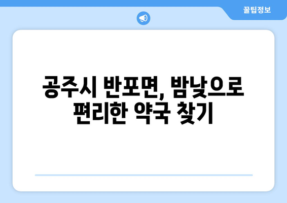 충청남도 공주시 반포면 24시간 토요일 일요일 휴일 공휴일 야간 약국