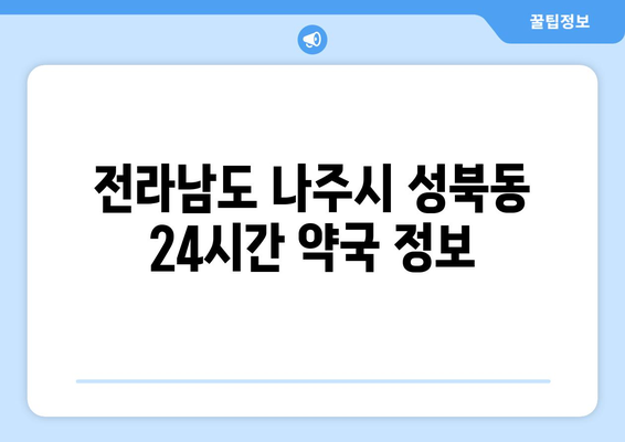 전라남도 나주시 성북동 24시간 토요일 일요일 휴일 공휴일 야간 약국