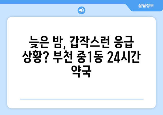 경기도 부천시 중1동 24시간 토요일 일요일 휴일 공휴일 야간 약국