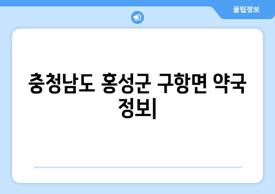 충청남도 홍성군 구항면 24시간 토요일 일요일 휴일 공휴일 야간 약국