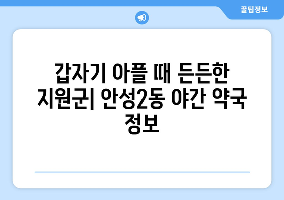 경기도 안성시 안성2동 24시간 토요일 일요일 휴일 공휴일 야간 약국