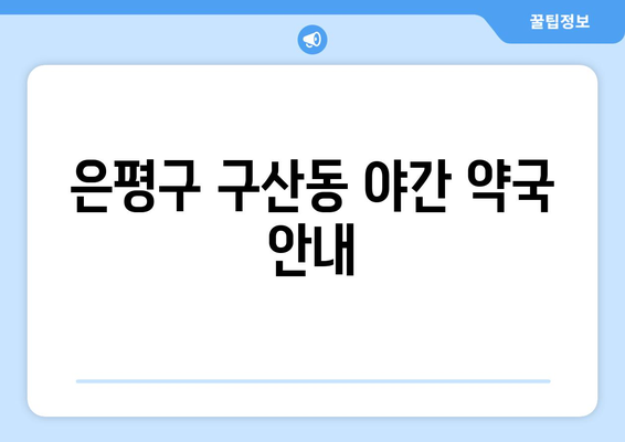 서울시 은평구 구산동 24시간 토요일 일요일 휴일 공휴일 야간 약국