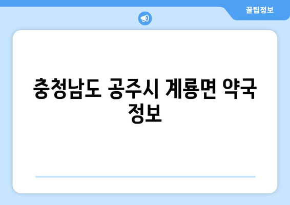 충청남도 공주시 계룡면 24시간 토요일 일요일 휴일 공휴일 야간 약국