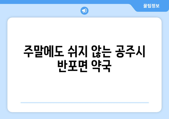 충청남도 공주시 반포면 24시간 토요일 일요일 휴일 공휴일 야간 약국